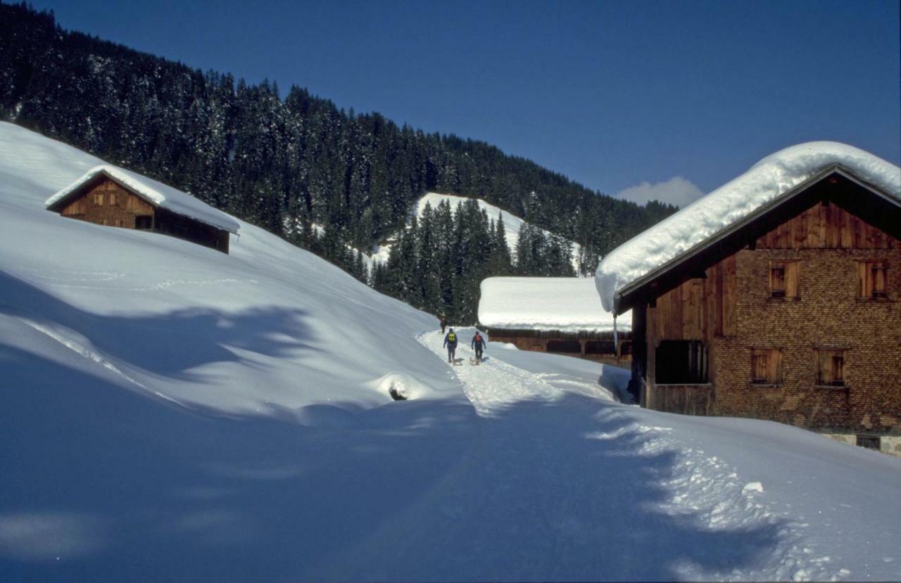 شقة Haus Stabentheiner Au (Vorarlberg) المظهر الخارجي الصورة
